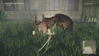 Nier Frozen Moose.