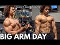 SMASHING ARM DAY | WORKOUT BREAKDOWN | DAILY GAINS #23
