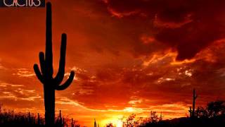 One Way or Another - Cactus