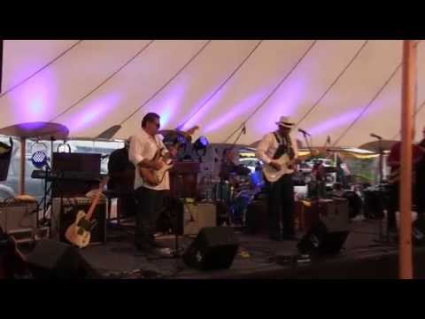 Thumbnail for The Knickerbocker All Stars: Mystic Blues Festival 2015 by Fran Christina