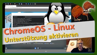 Cloudready ChromeOS - Linux Programme installieren und verwenden
