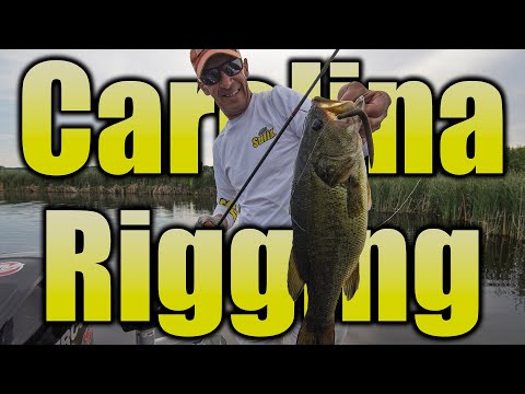 Carolina Rigging for Largemouth Bass
