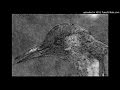 Weedpecker Weedpecker Full Demo 2012