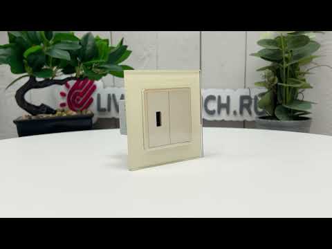 Розетка с двумя USB type-A, блоком питания 5В 2.1А Livolo, 1 пост, цвет жемчужный VL-C792USB-14