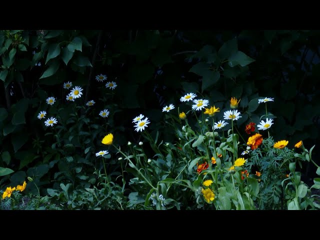 В Ангарске подвели итоги традиционного конкурса «Дом, в котором я живу»