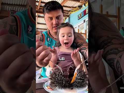 Le è piaciuto? La reazione shock di mia figlia al riccio di mare