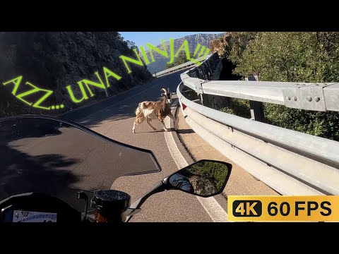 KAWASAKI NINJA 1100SX-SE PASSO DI GENNA SILANA