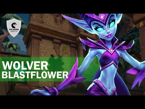 Wolver Willo Competitive (Master) BLASTFLOWER