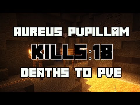 Aureus Pupillam - PvE Statistics - (S1-S11)