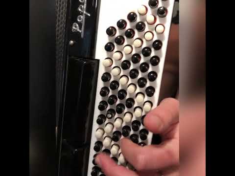 Curtini Akkordeon 5 Register Bugari Stimmplatten image 11