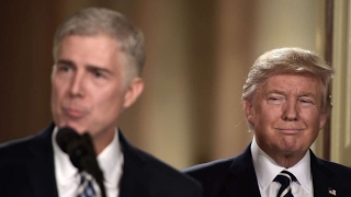 The Real Supreme Court Strategy : Neil Gorsuch nominated