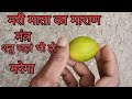 मरी माता का मारण मंत्र शत्रु कहीं पर भ�