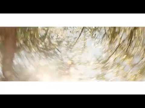 Julieta Venegas - Un poco de paz