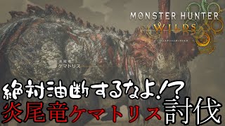 【モンスターハンターワイルズ】油断大敵！？炎尾竜ケマトリス討伐