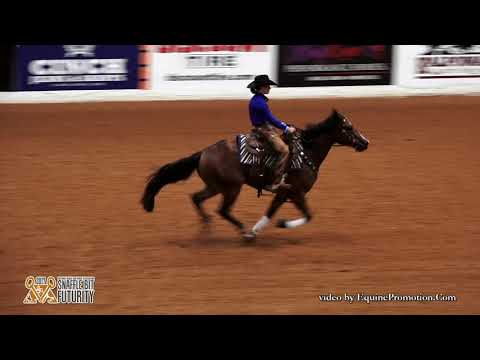 ShinersBoyNamedSioux ridden by Ashley Deacon  - 2017 Snaffle Bit Futurity (Rein Work - Open Prelims)