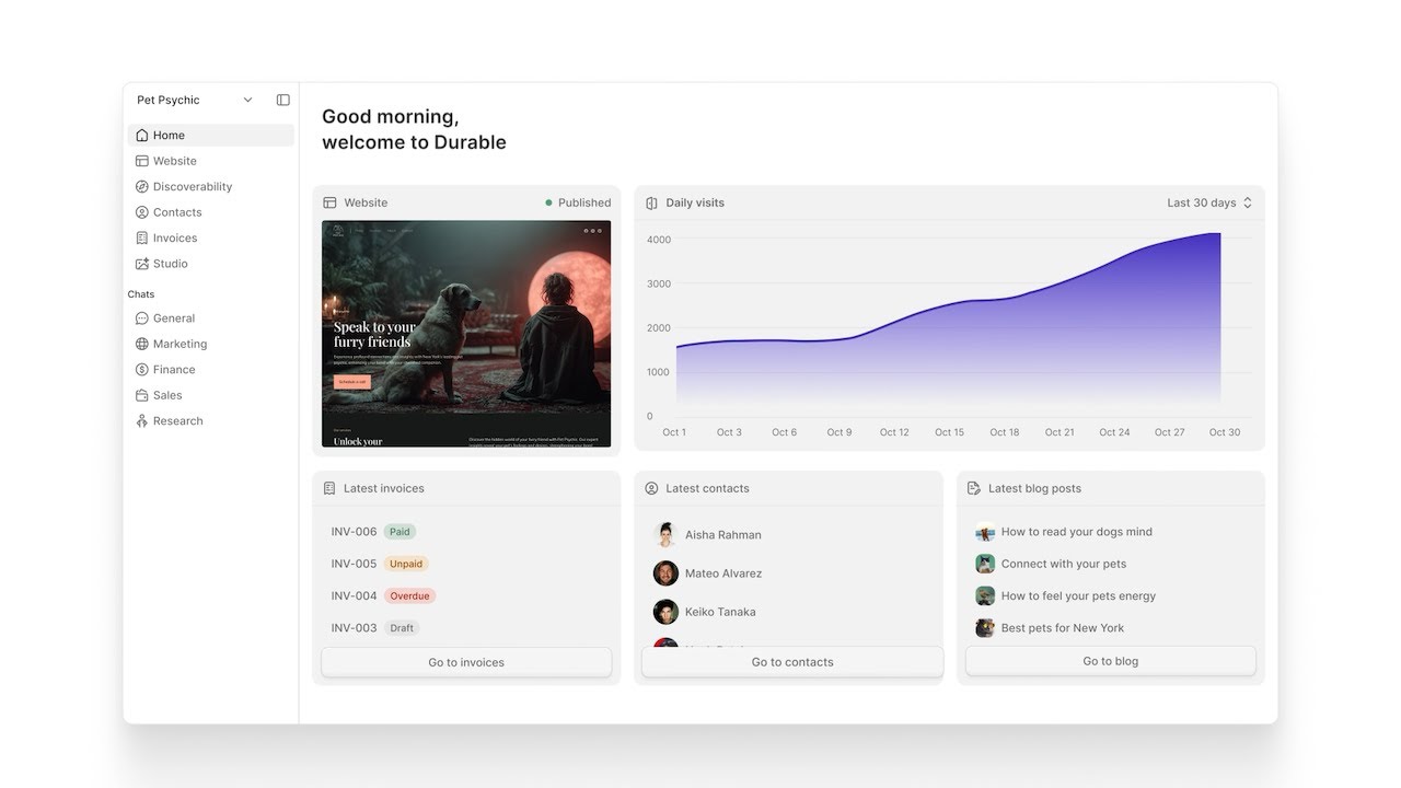 Launch a Complete Business in 3 Minutes with AI