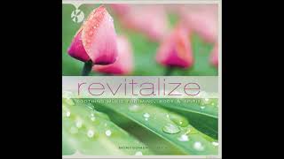 Revitalize: Soothing Music for Mind, Body & Spirit - Montgomery Smith