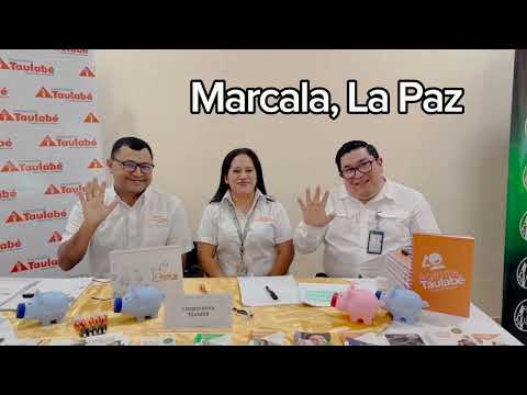 Cooperativa Taulabé, Marcala La Paz.