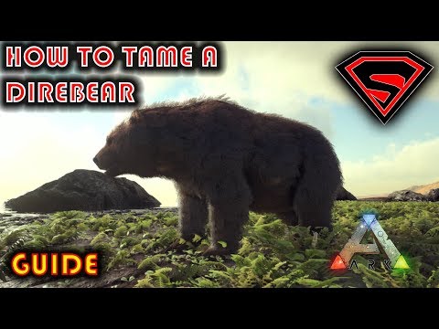 ARK HOW TO TAME A DIRE BEAR 2019 - EVERYTHING YOU NEED TO KNOW ABOUT TAMING A DIRE BEAR