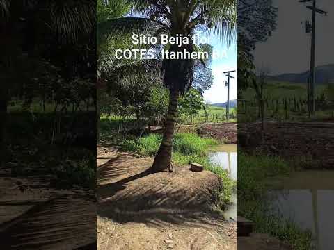 sítio Beija flor. COTES. Itanhem BA