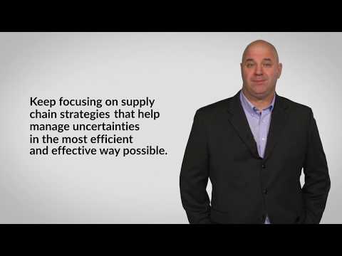 Innovation Effects on Supply Chain Strategy: L14