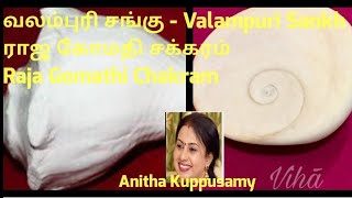 Maharani Gomati Chakra | Gomathi Chakra video