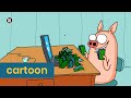 Ik eet geen aanbiedingen! | Varkentje Rund
