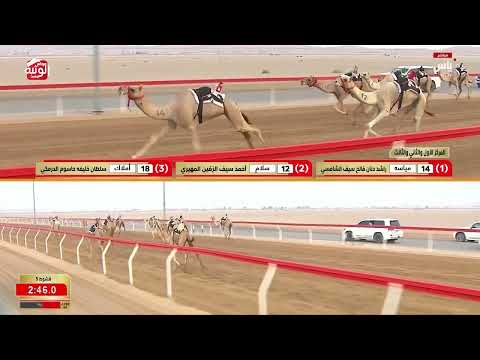 ش 5 (جباره) لـ محمد حمد بن حميد علي المشايخي 6:22:12 ، مهرجان العين 2026/07/09 إيذاع الروضة