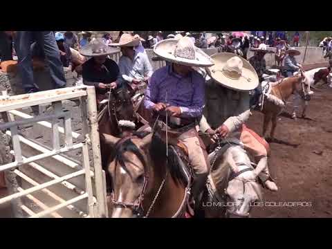 Caballos charros rajados