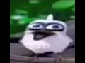 1 Hour Of The Screaming Bird