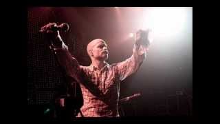 The Tragically Hip - Wild Mountain Honey