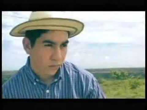 Ulpiano Vergara  - Y todavia te quiero