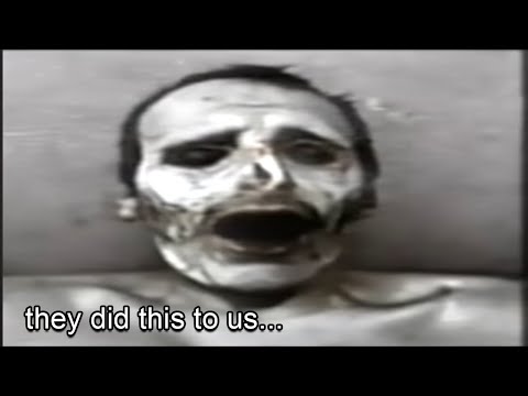 I Watched Every Episode Of The Grey Lock Tapes | ANALOG HORROR