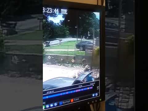 06.25.2019 - * * # ⛌  Neighbor Harassing and Stalking Me