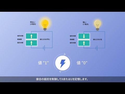 スピン軌道トルクRAM（磁気抵抗メモリ）両方向読み出し方式の提案と磁化スイッチングふるまい解明