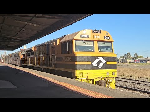 3AK1 Aurizon empty grainy (5 locos), Dry Creek to Marmalake,  0845, 26/2/25, Horsham  VIC.