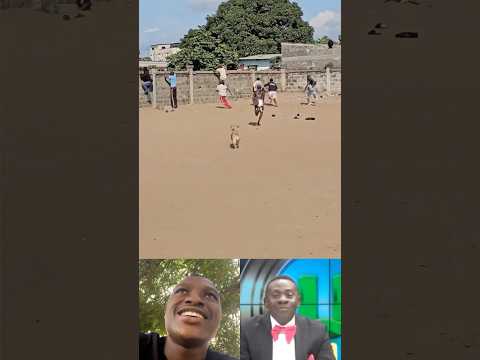 Time for dog chase 🤣 - Try not to laugh challenge 😹