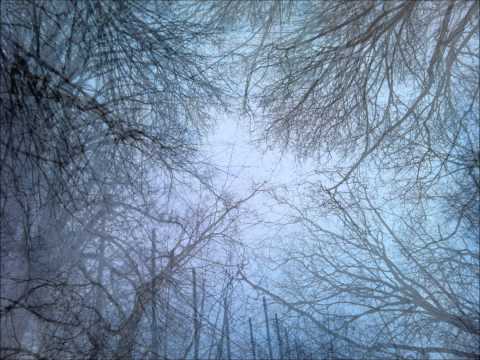 Organon - Spatium