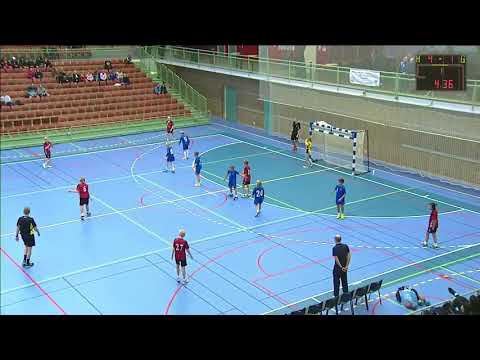 Skadevifinal 2017 P06 HK Silwing/Troja - BK Heid