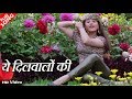 ये दिलवालों की बस्ती है(Yeh Dilwalon Ki Basti Hai) - HD वीडियो सो