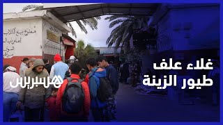 ارتفاع أسعار أعلاف الطيور.. مربون يوضحون تأثير الغلاء على تجارتهم وتجار يطرحون حل الإعفاء الضريبي thumbnail