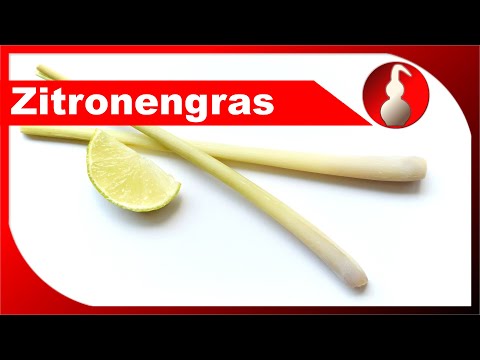 Zitronengras destillieren - ätherisches Öl selbst herstellen - destillieren als Hobby - diSTILLed