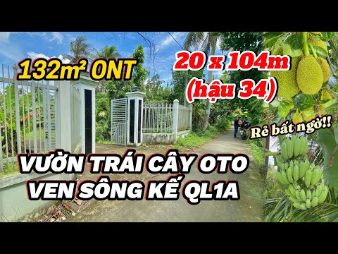 T. 969 - Quá Số Dách 🍏 3615.2m² Vườn Trái Cây Oto Thổ Cư Kế QL1A | Xã Long Hưng, ĐT (C.Thành TG cũ)