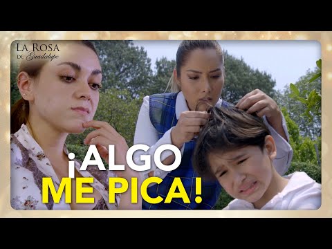 Miguelito está piojoso por culpa de la fodonga de su madrastra | LA CANCIÓN DE LAS ROSAS 2/4| LRDG