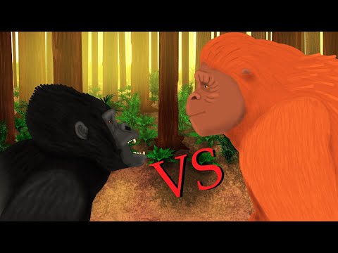 Giganthopithecus vs Gorilla - Animal Fighting Animation