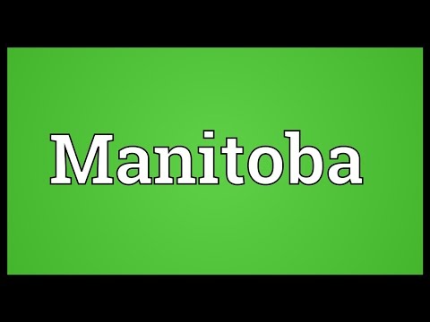 download lagu mp3 mp4 What Is Farina Manitoba, download lagu What Is Farina Manitoba gratis, unduh video klip What Is Farina Manitoba