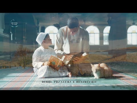 DIMRI, PRANVERA E BESIMTARIT