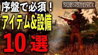 【攻略】過酷な世界で”生き延びる”為に必要なモノ10選【サブシステンス SUBSISTENCE】