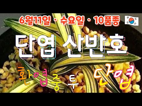 유튜브 썸네일