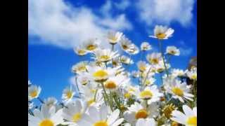 sol de primavera   catedral